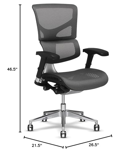 X-Chair X2 Ergonomic Task Chair, Black Mesh