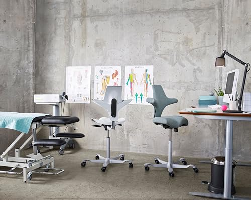 HAG Capisco Adjustable Desk Chair, Chestnut Brown