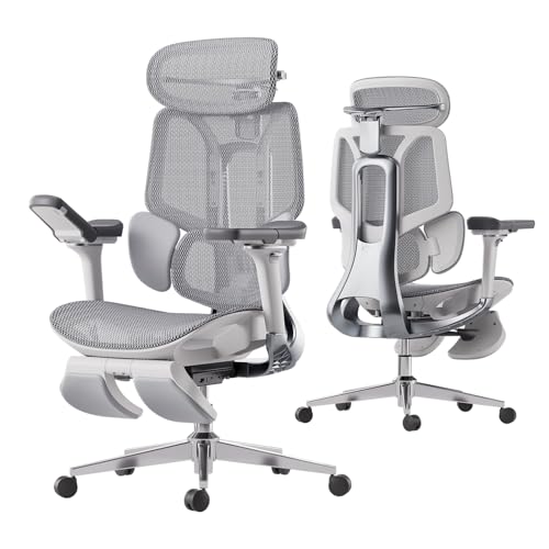 Hbada E3 Pro Ergonomic Office Chair, Grey