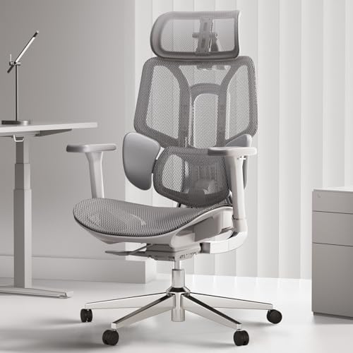 Hbada E3 Air Ergonomic Office Chair, Grey