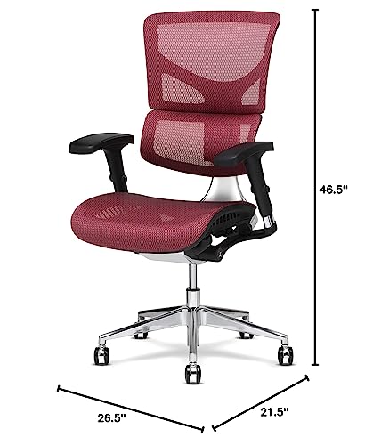 X-Chair X2 Ergonomic Task Chair, Black Mesh