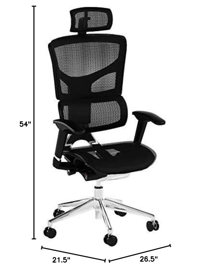 X-Chair X2 Ergonomic Task Chair, Black Mesh