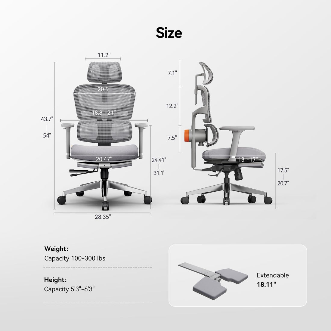 Newtral Ergonomic Office Chair with Footrest, Gray