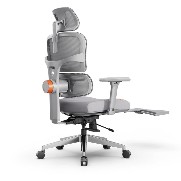 Newtral Ergonomic Office Chair, Gray