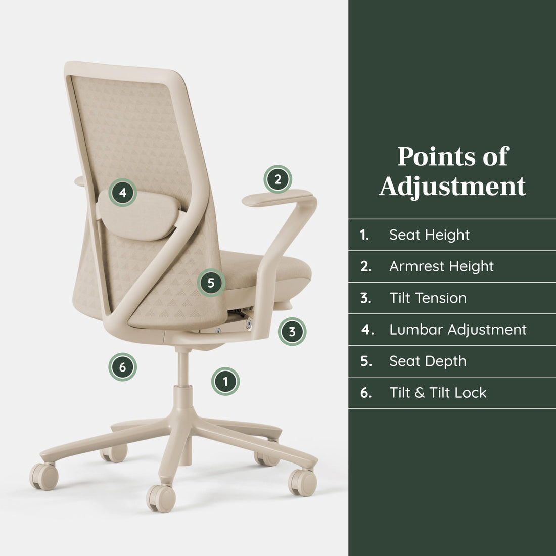 Branch Verve Executive Office Chair, Coral