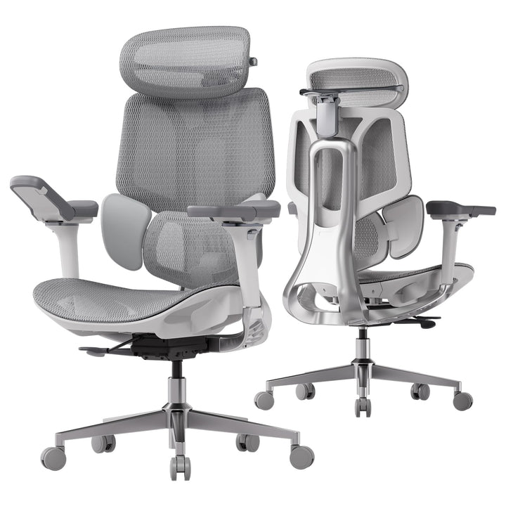 Hbada E3 Pro Ergonomic Office Chair, Grey