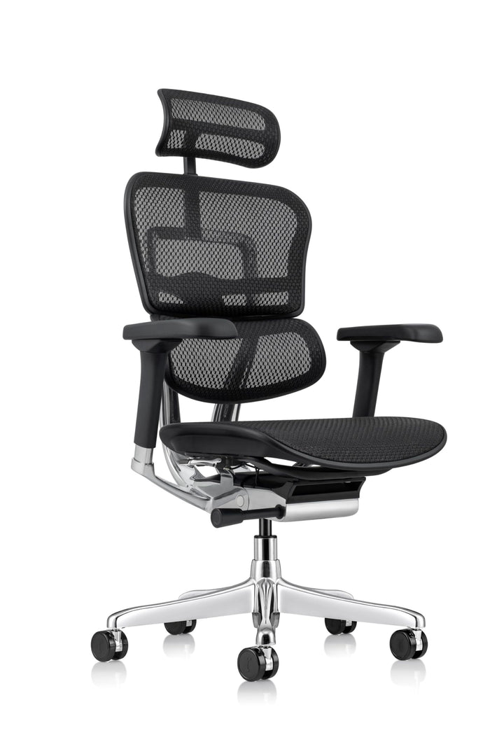 Ergohuman Eurotech Mesh Chair, Black