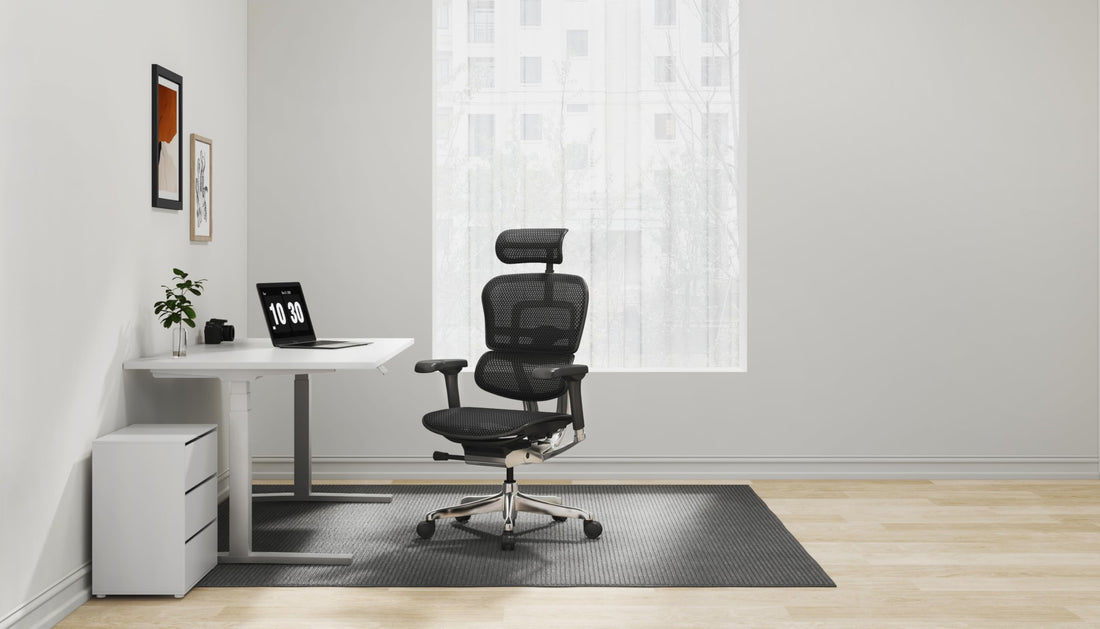 Ergohuman Eurotech Mesh Chair, Black