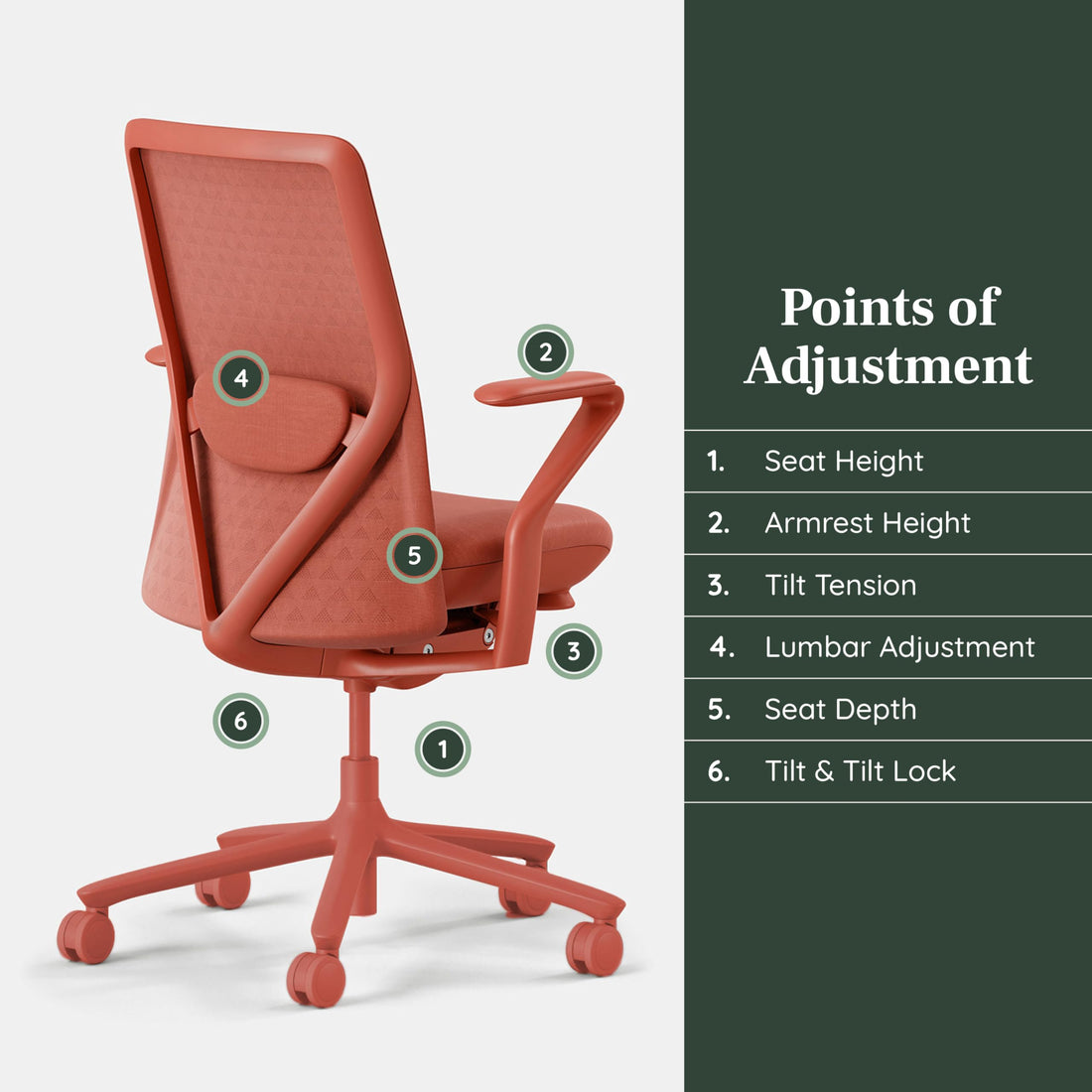 Branch Verve Executive Office Chair, Coral