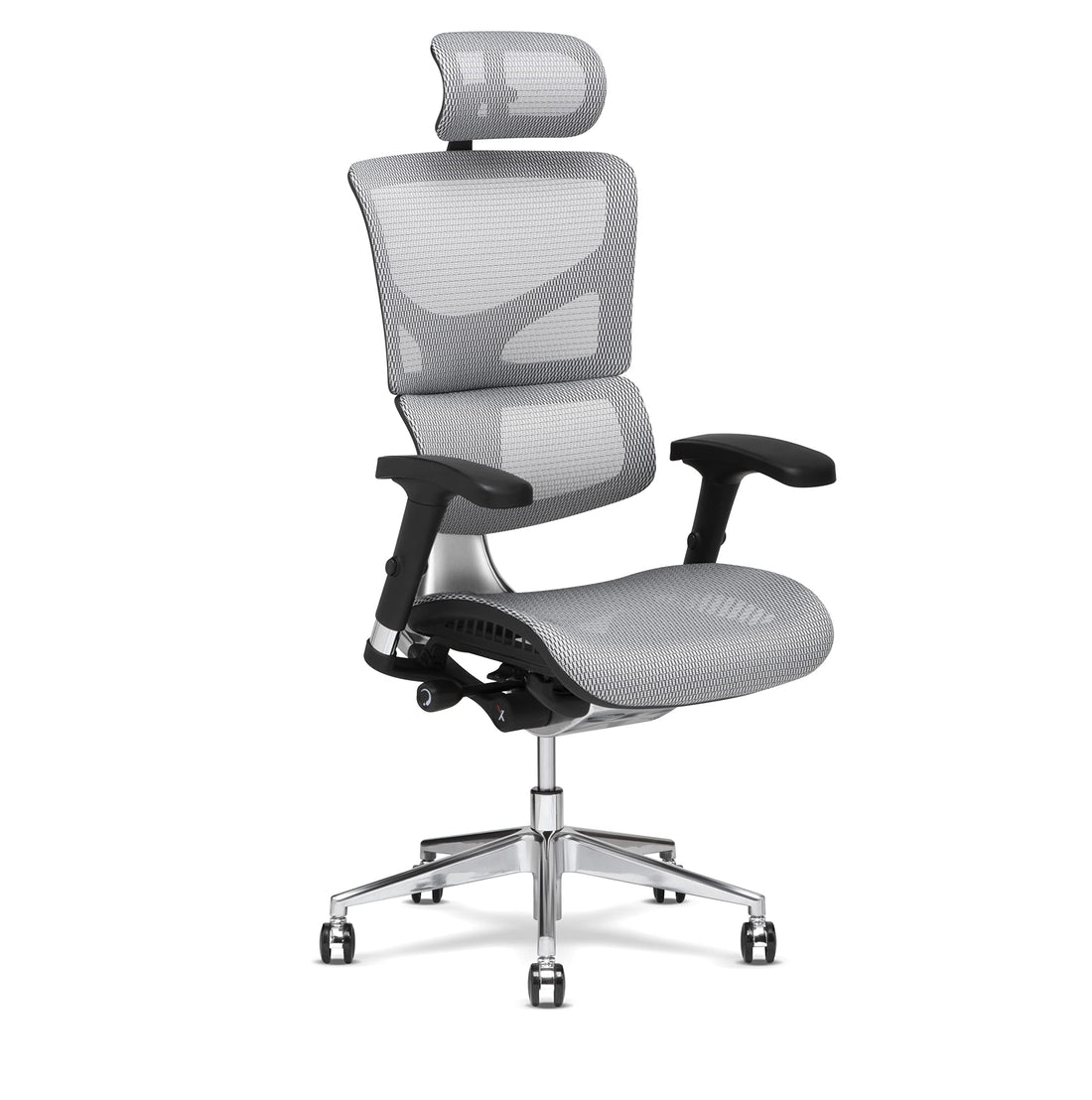 X-Chair X2 Ergonomic Task Chair, Black Mesh