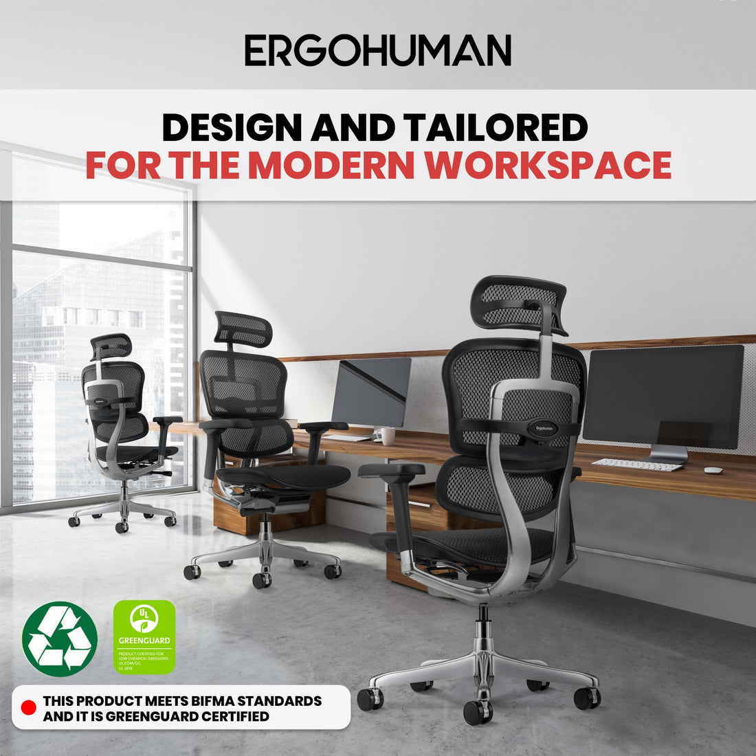 Ergohuman Eurotech Mesh Chair, Black