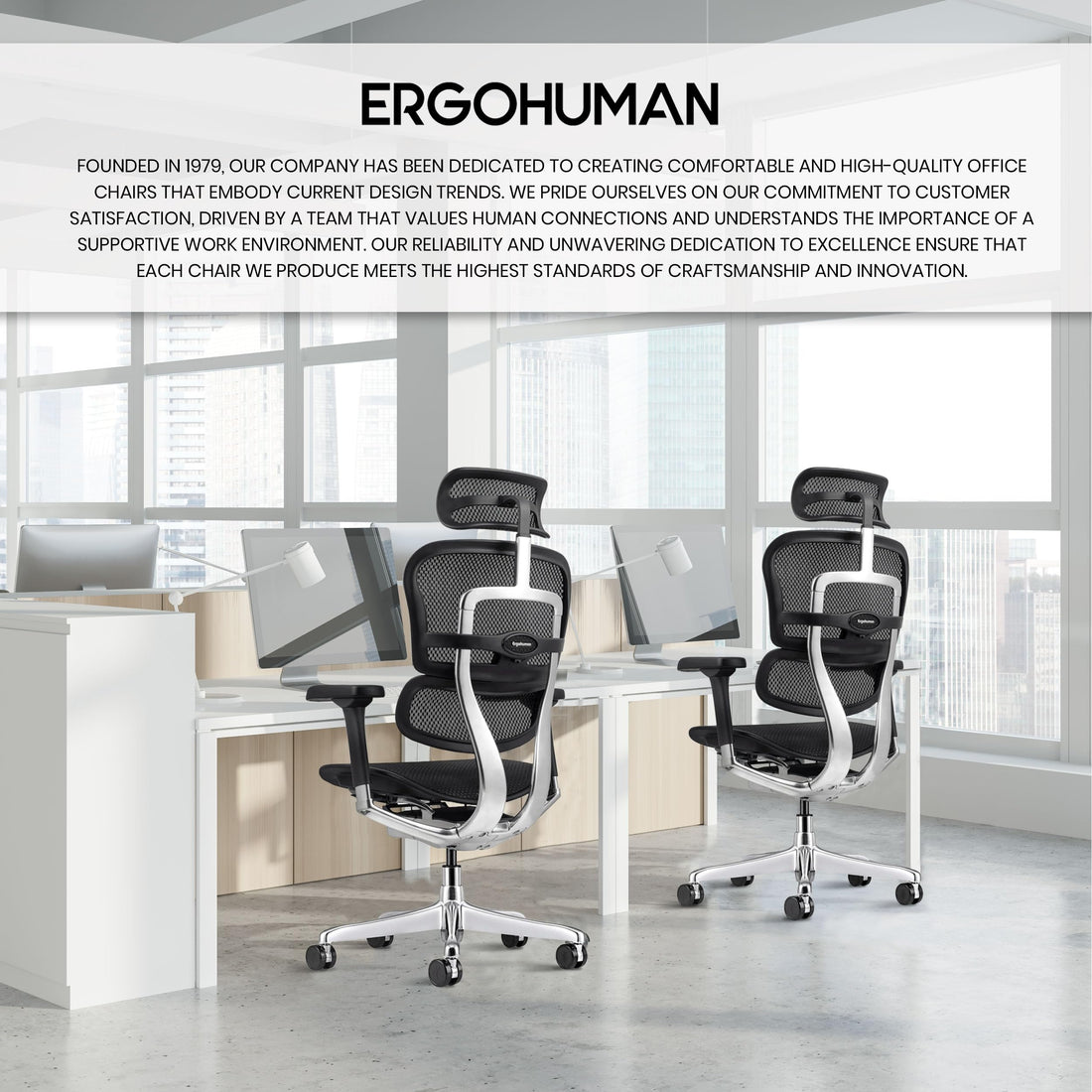 Ergohuman Eurotech Mesh Chair, Black