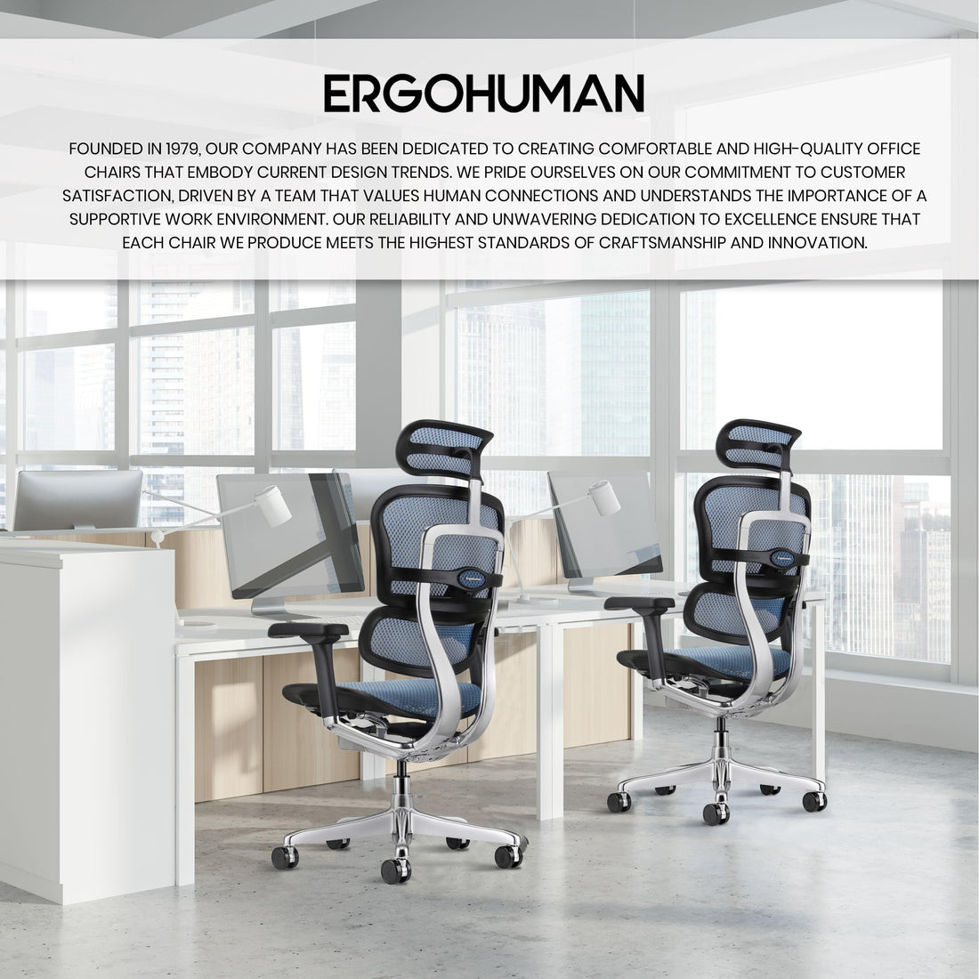 Ergohuman Eurotech Mesh Chair, Black