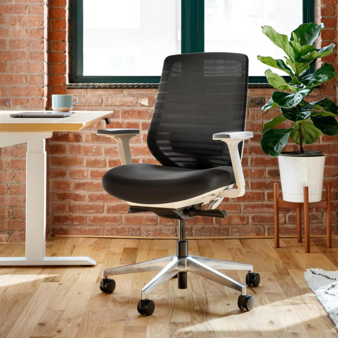 Branch Ergonomic Office Chair, All Black