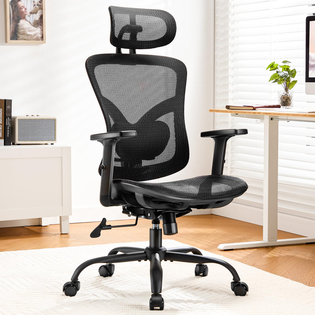 Marsail Ergonomic Office Chair, Mesh