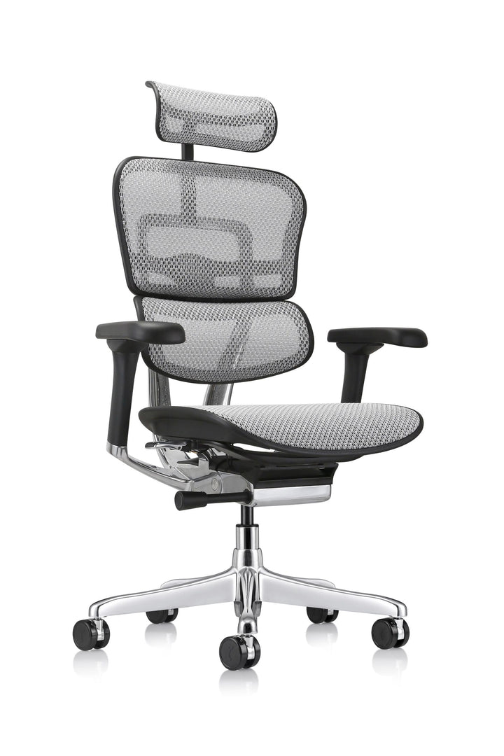 Ergohuman Eurotech Mesh Chair, Black
