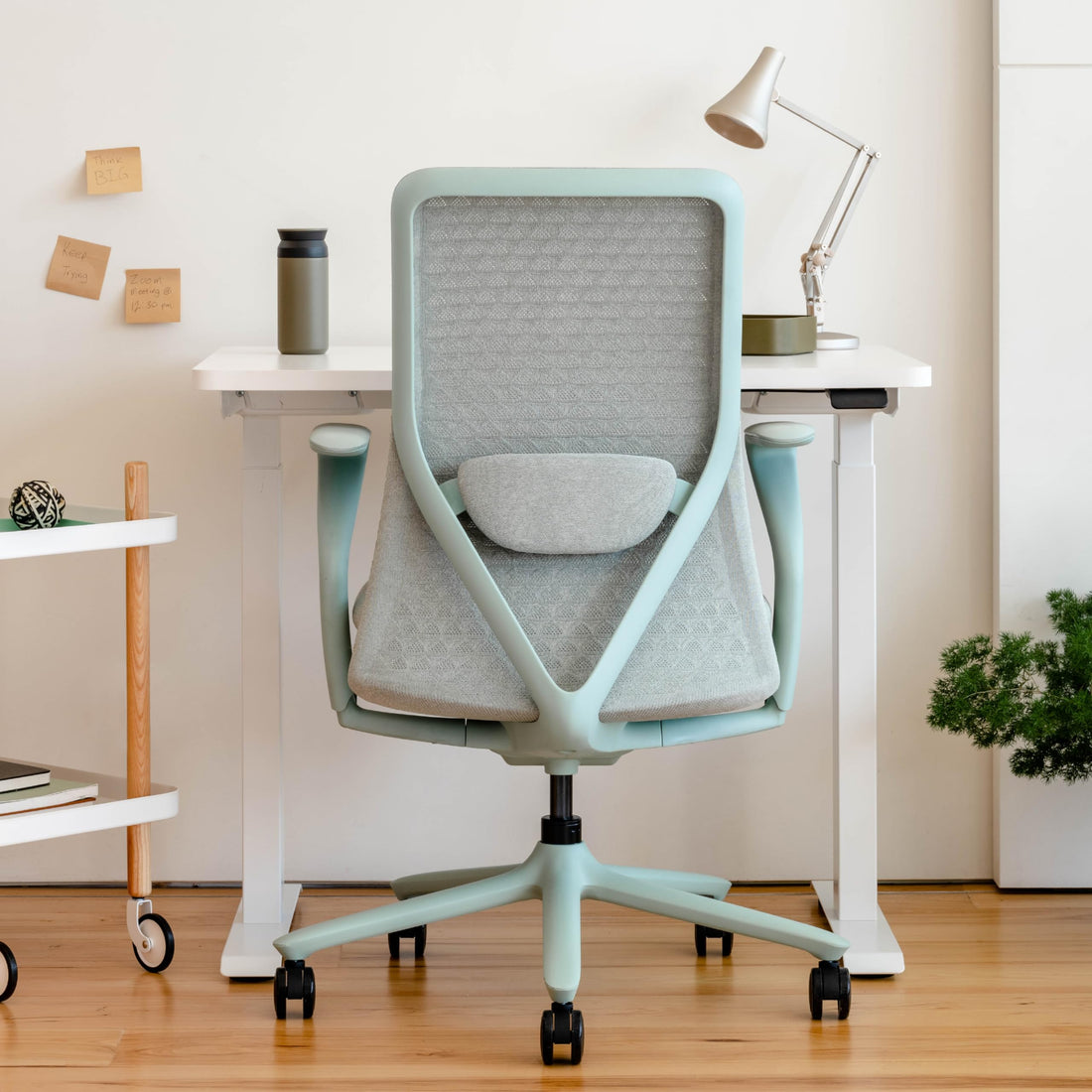 Branch Verve Executive Office Chair, Coral