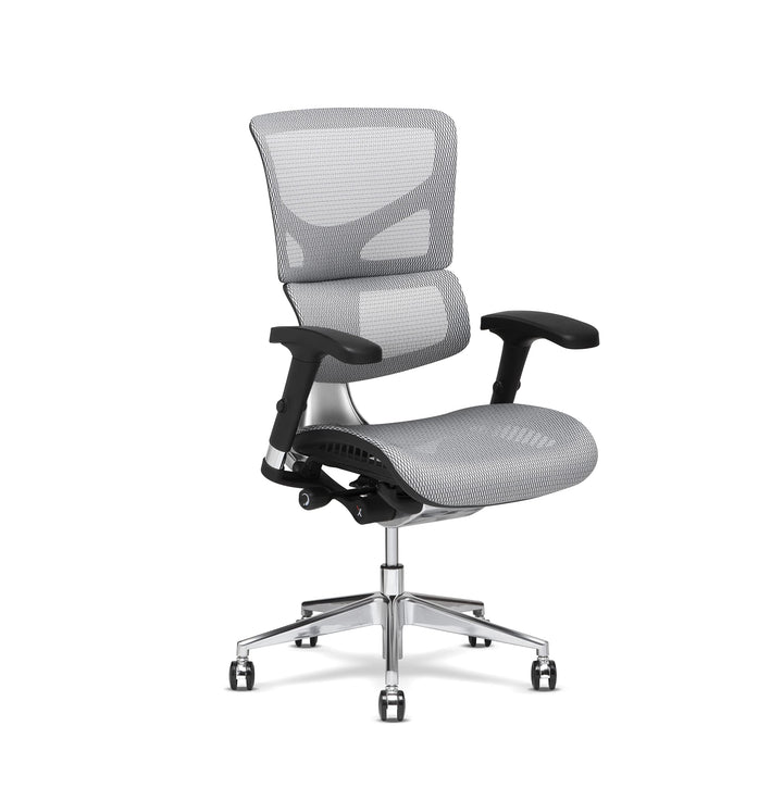 X-Chair X2 Ergonomic Task Chair, Black Mesh