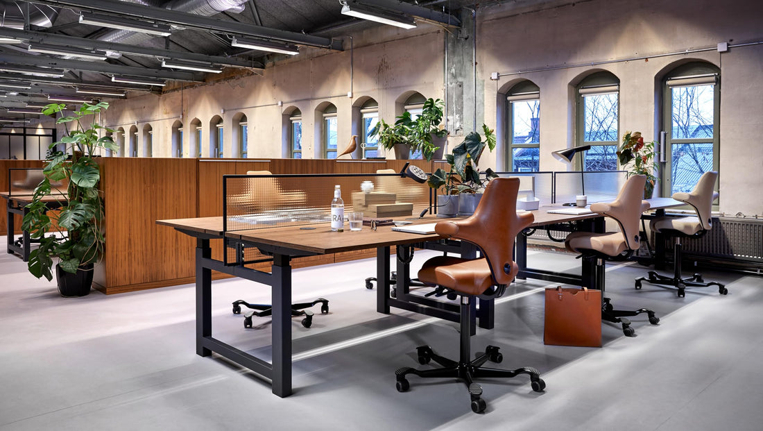 HAG Capisco Adjustable Desk Chair, Chestnut Brown