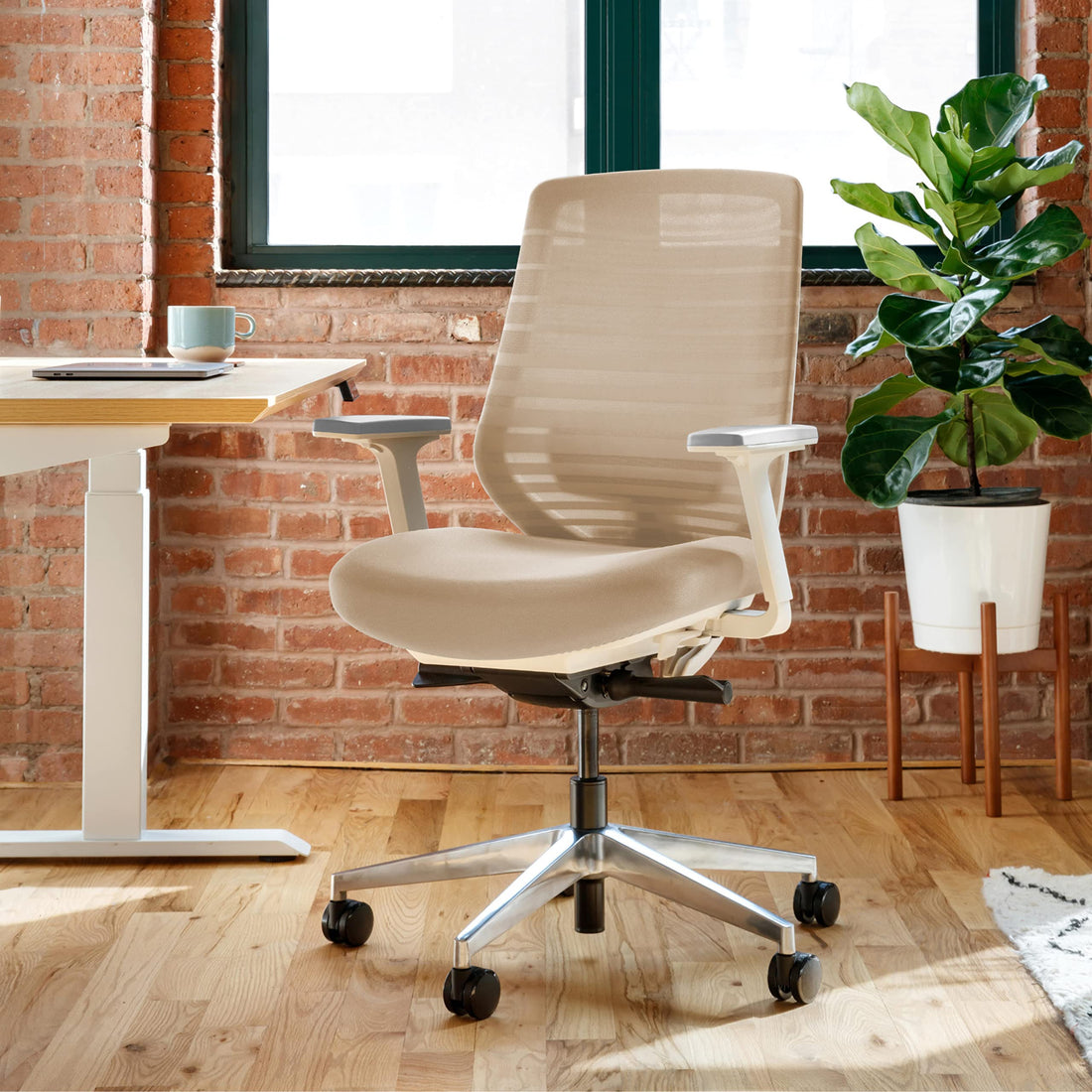 Branch Ergonomic Office Chair, All Black